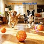 Zing Ball Glow
