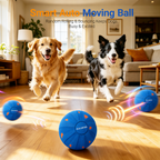 Zing Ball Neo